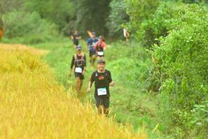 BIB: 
                            <button type="button" onclick="openModal(13456493)" class="btn btn-primary btn-sm float-right btn-popup" data-toggle="modal" data-target=".modal-high-quality">
                        <i class="fas fa-shopping-cart"></i> Add to Cart
                    </button>
                                            <button type="button" onclick="isThisMe(13456493, true)" class="btn btn-success btn-sm float-right btn-popup btn-isme hidden" data-toggle="tooltip" data-placement="bottom" title="นี่คือรูปของคุณใช่ไหม คลิกที่นี่เพื่อเอาเข้าอัลบั้ม">
                        <i class="fas fa-plus"></i> Add to album
                    </button>
                    <button type="button" onclick="isThisMe(13456493, false)" class="btn btn-warning btn-sm float-right btn-popup btn-isnotme hidden">
                        <i class="fas fa-ban"></i> Remove from album
                    </button>